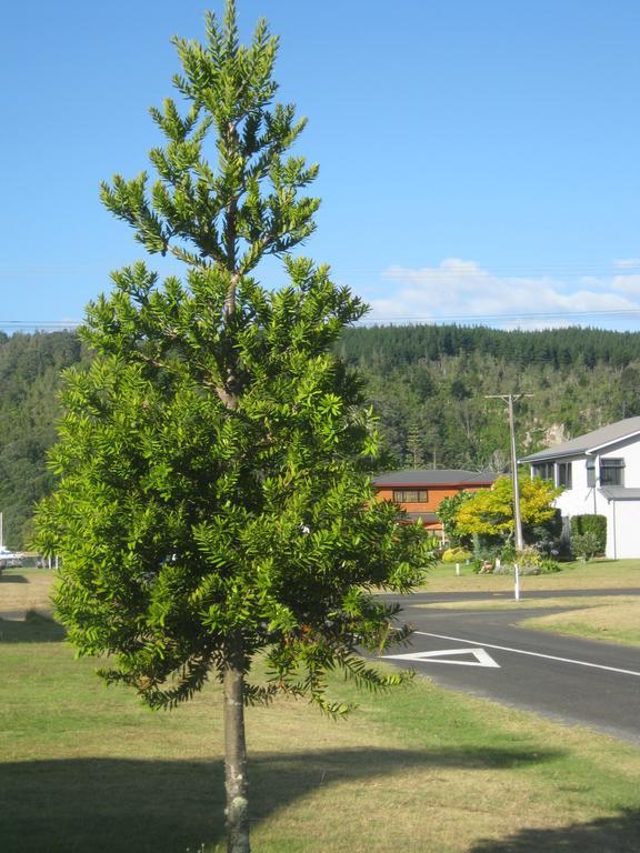 Addsbury House Apartment Whangamata Exterior photo